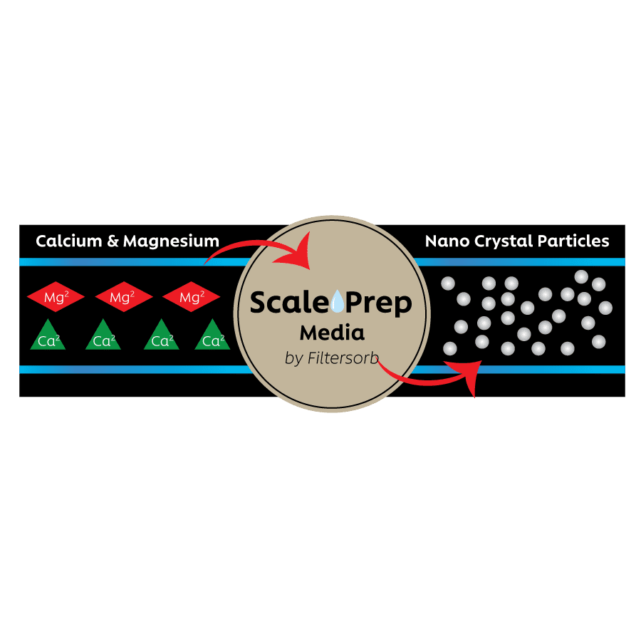 scale prep media illustration