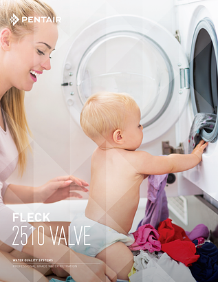 Fleck 2510 Valve Brochure (40829) Fleck 2510 Valve Brochure (40829)