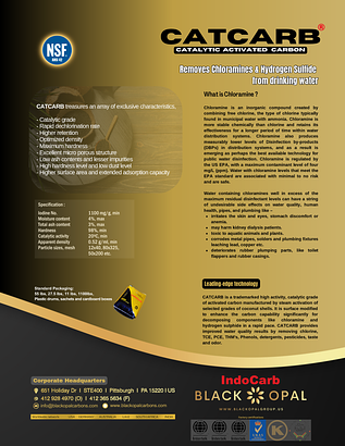IndoCarb CATCARB flyer IndoCarb CATCARB flyer